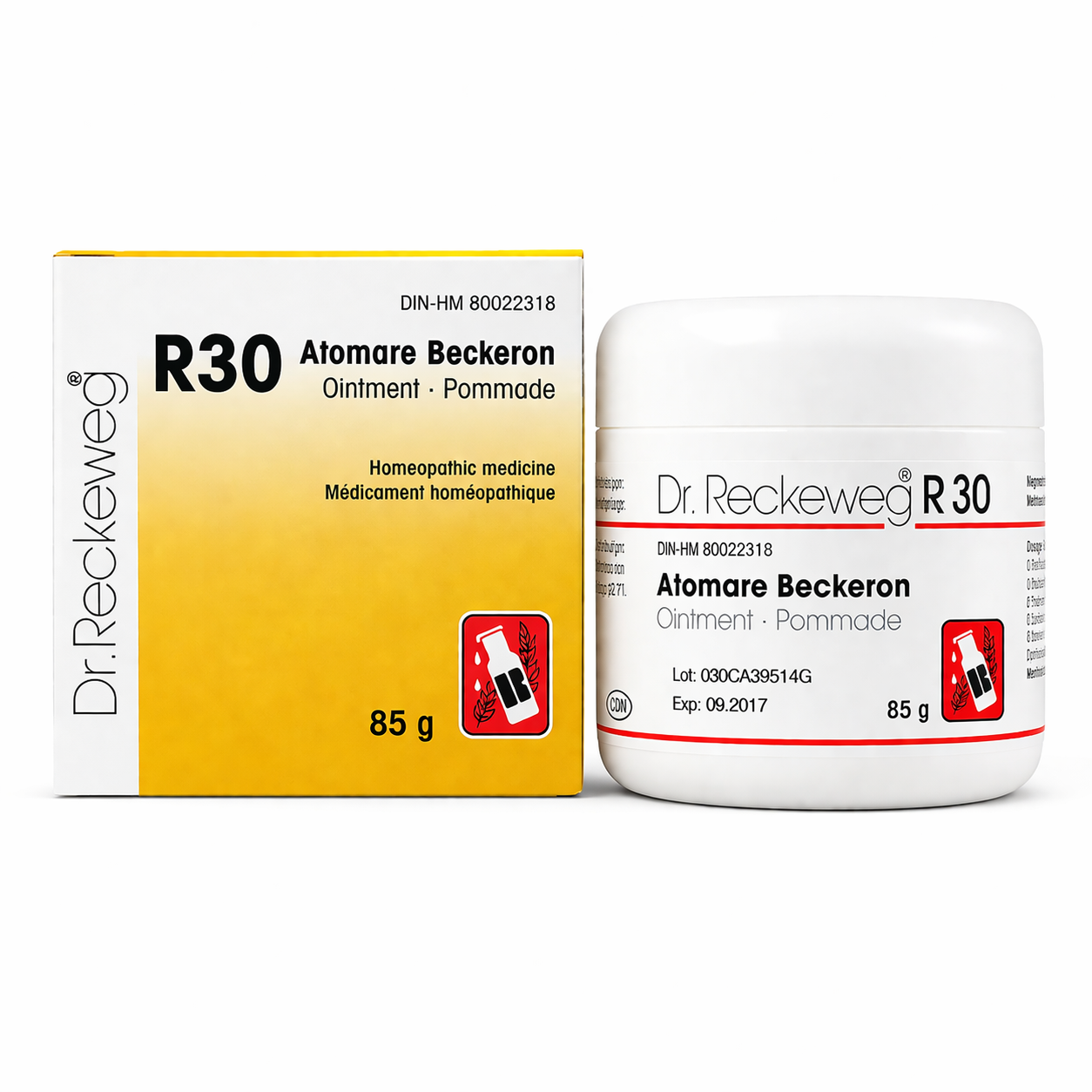 Dr. Reckeweg R30 Universal Ointment